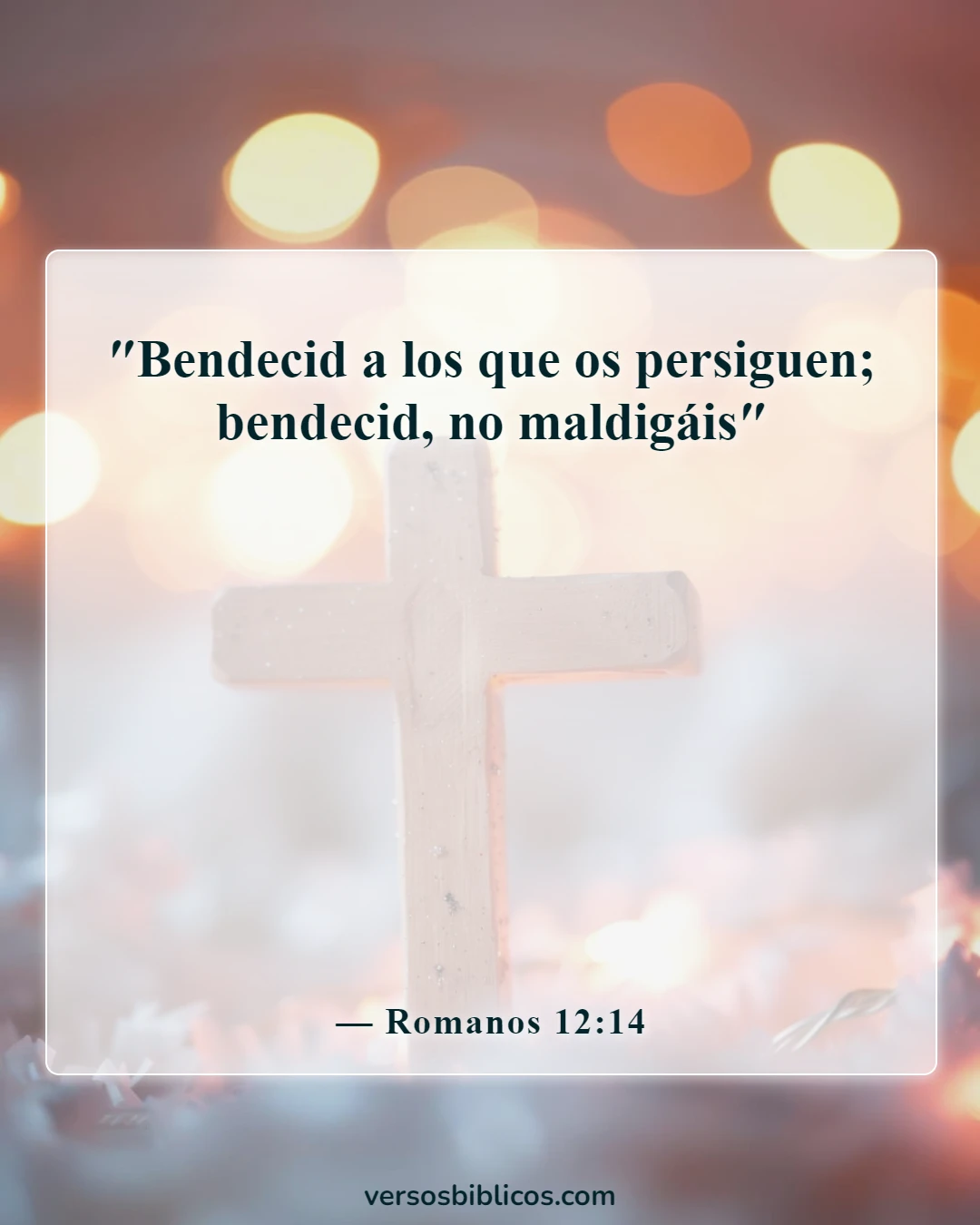Versículos de la Biblia sobre decir malas palabras y lenguajes (Romanos 12:14)