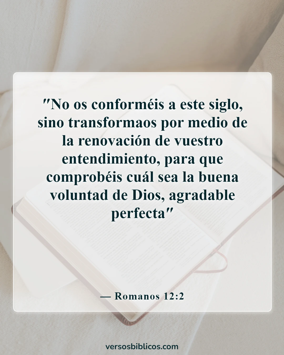 Versículos de la Biblia sobre el embarazo inesperado (Romanos 12:2)