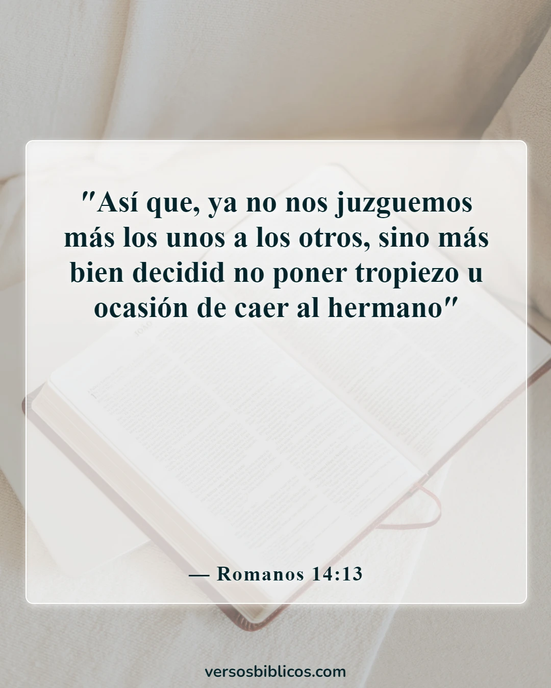 Versículos de la Biblia sobre aceptar a los demás (Romanos 14:13)