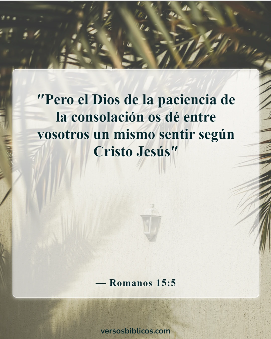 Versículos de la Biblia sobre la suegra (Romanos 15:5)