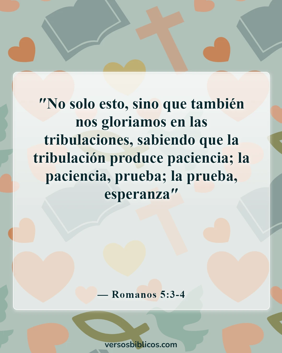 Versículos de la Biblia sobre tu apariencia insegura (Romanos 5:3-4)
