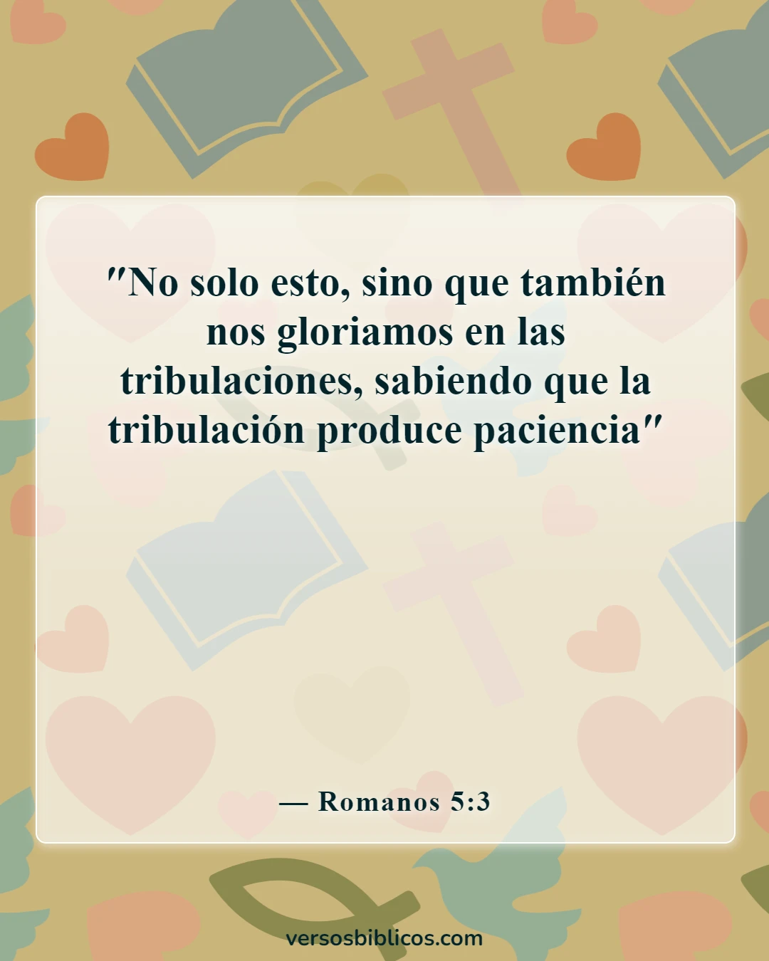 Versículos de la Biblia sobre la frustración (Romanos 5:3)