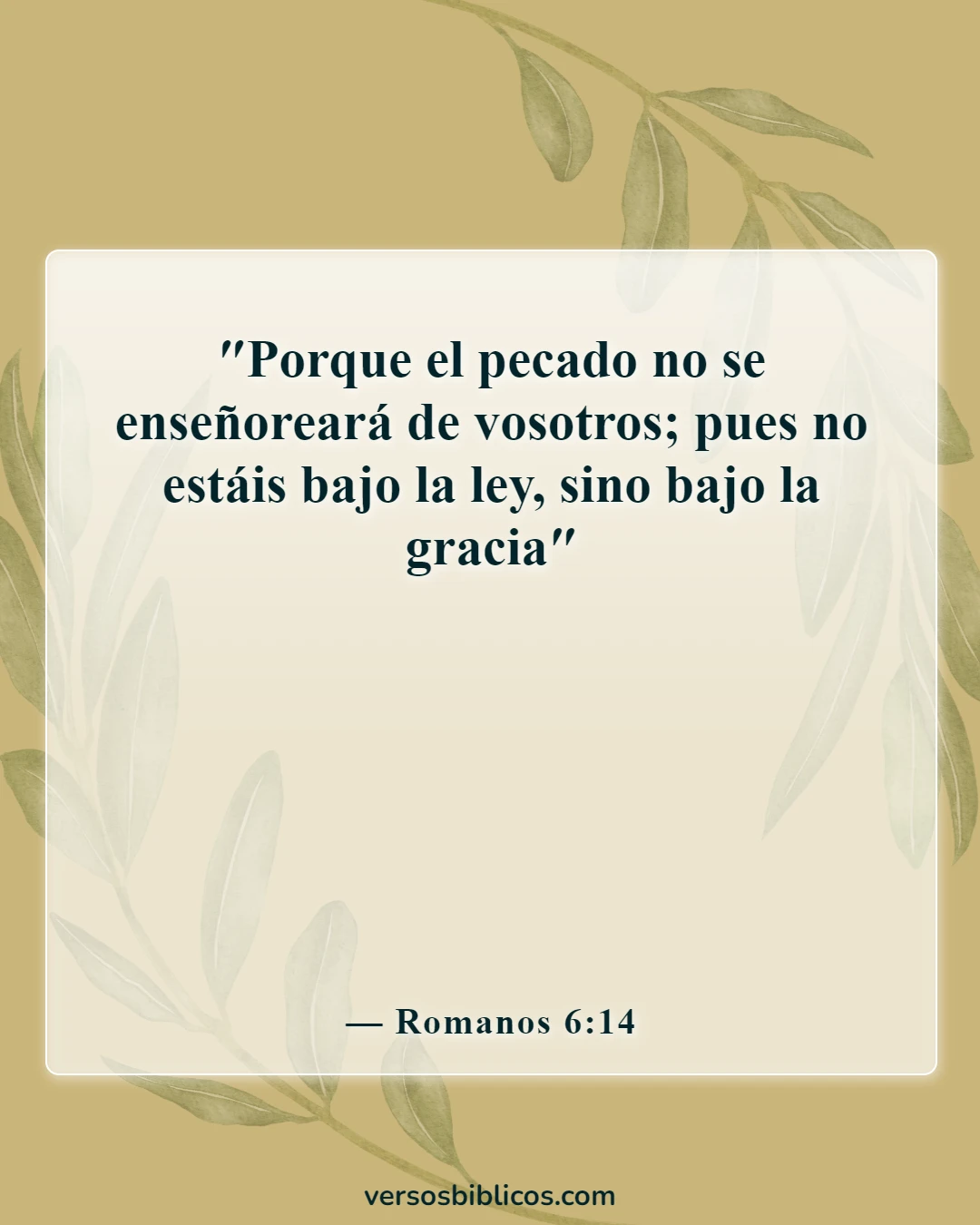 Versículos de la Biblia sobre Dios que perdona el adulterio (Romanos 6:14)