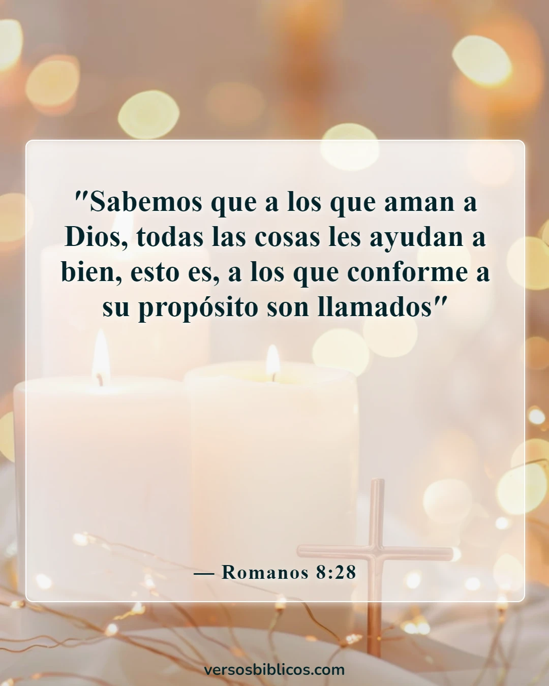 Versículos de la Biblia sobre el embarazo inesperado (Romanos 8:28)