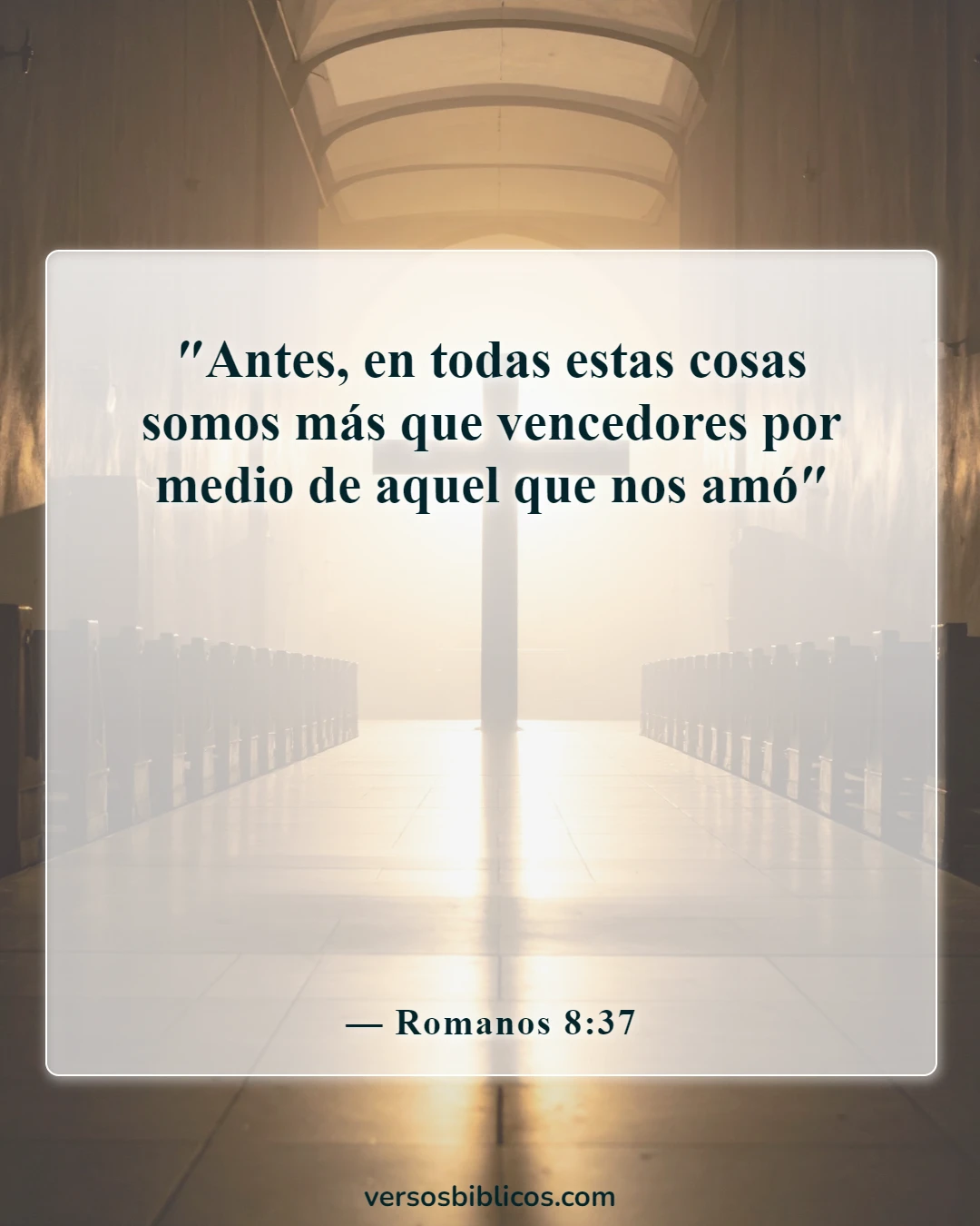 Versículos de la Biblia sobre tu apariencia insegura (Romanos 8:37)