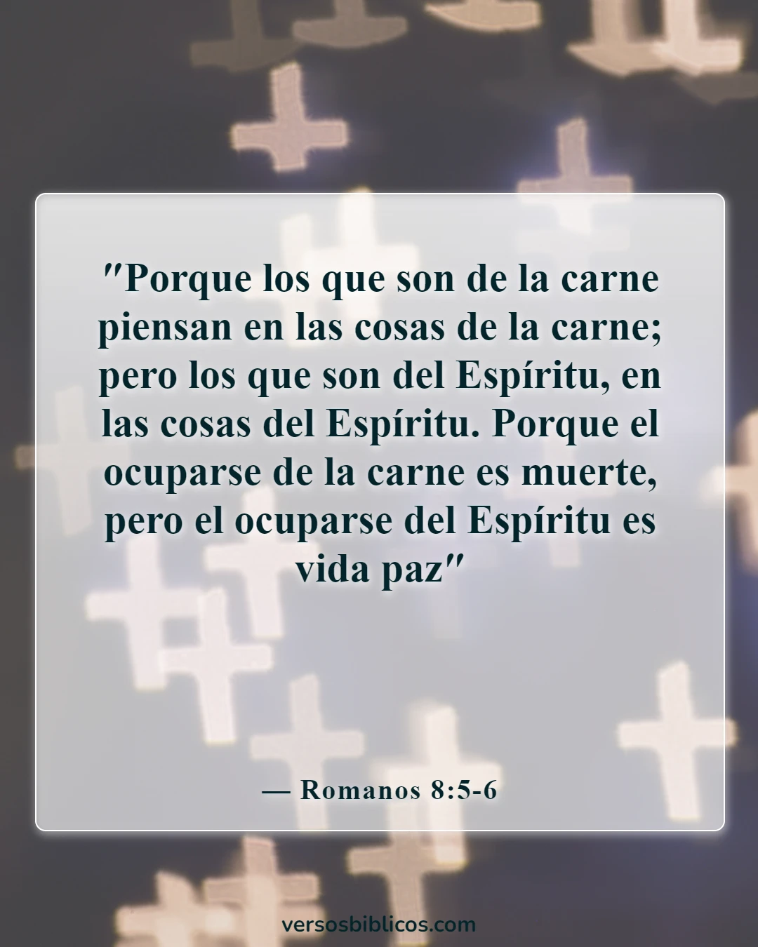Versículos de la Biblia sobre Masterbation (Romanos 8:5-6)