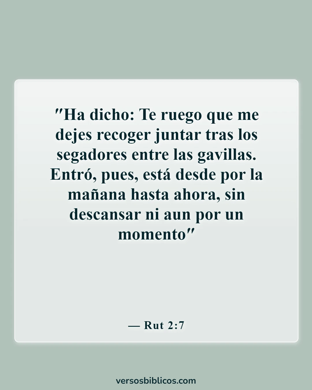 Versículos de la Biblia sobre trabajar duro y no ser perezoso (Rut 2:7)