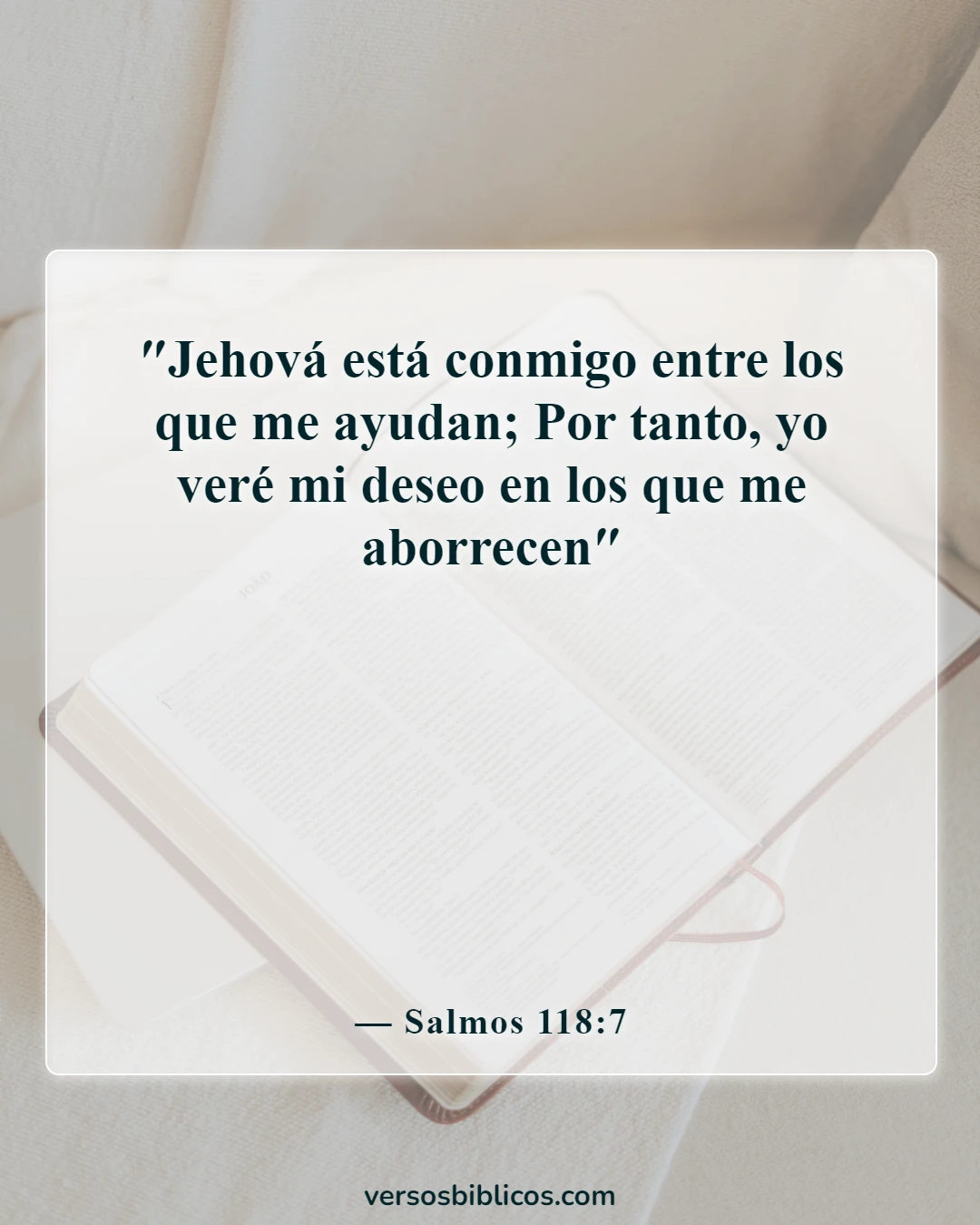 Versículos de la Biblia sobre El Señor es mi ayuda (Salmos 118:7)