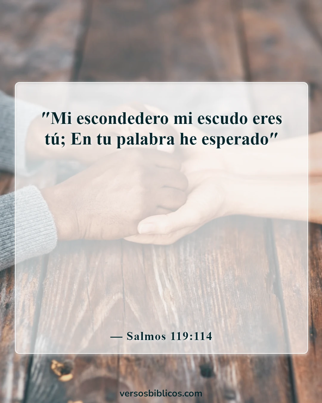 Versículos de la Biblia sobre la esperanza (Salmos 119:114)