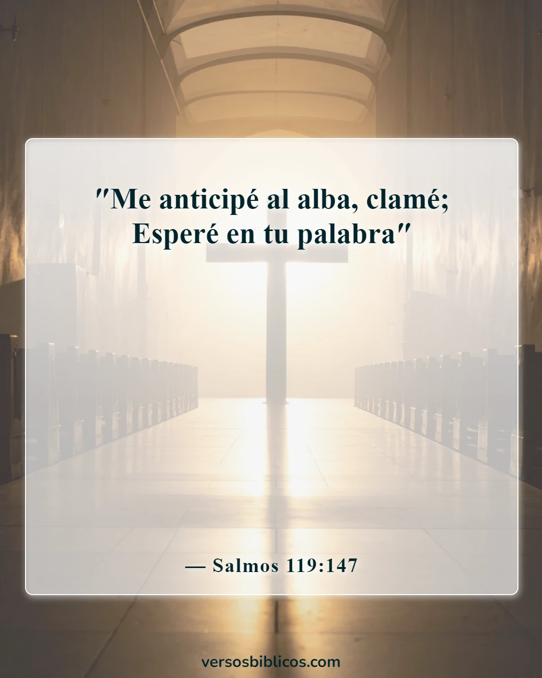 Versículos de la Biblia sobre buscar a Dios temprano en la mañana (Salmos 119:147)