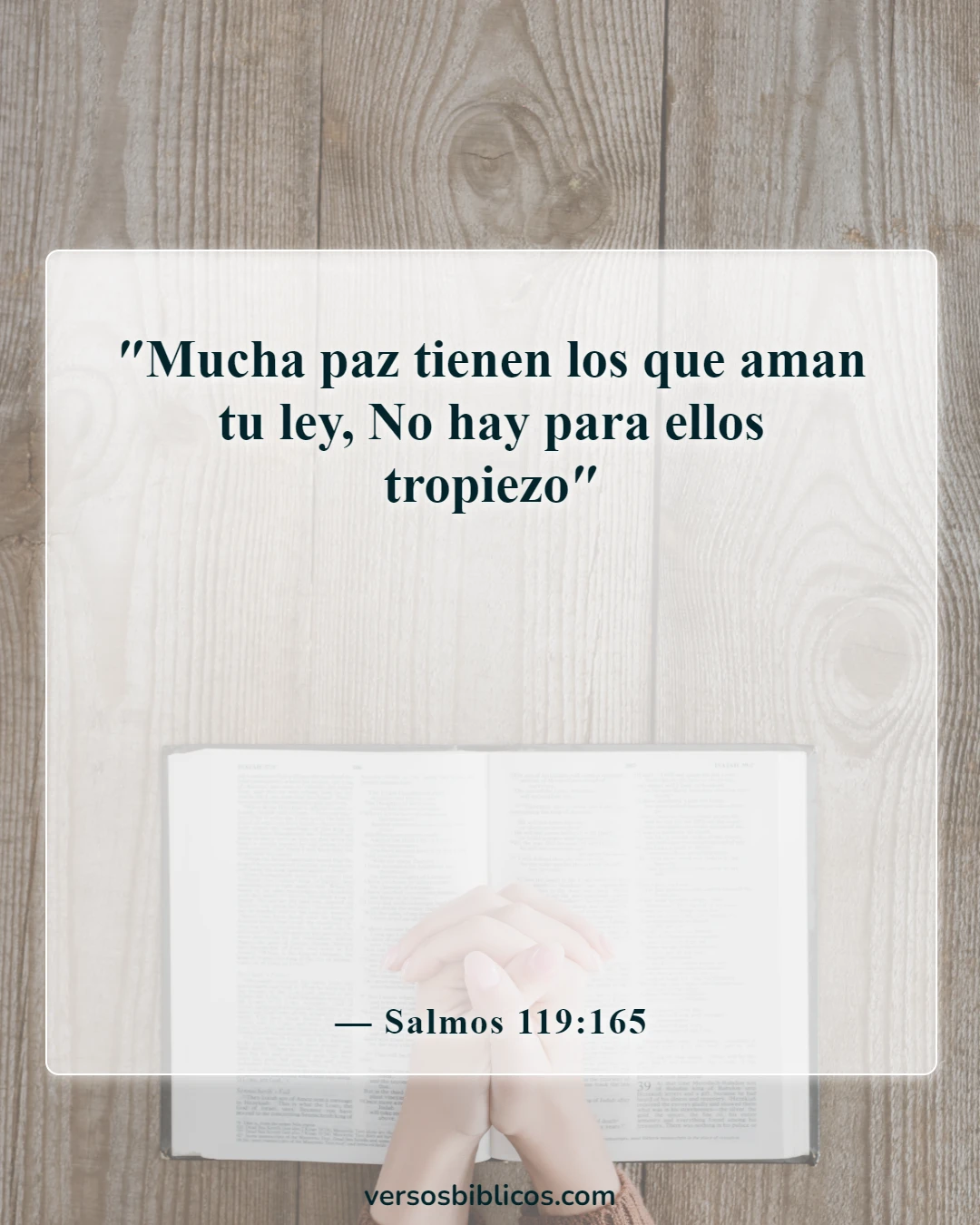 Versículos de la Biblia sobre la paz en la presencia de Dios (Salmos 119:165)