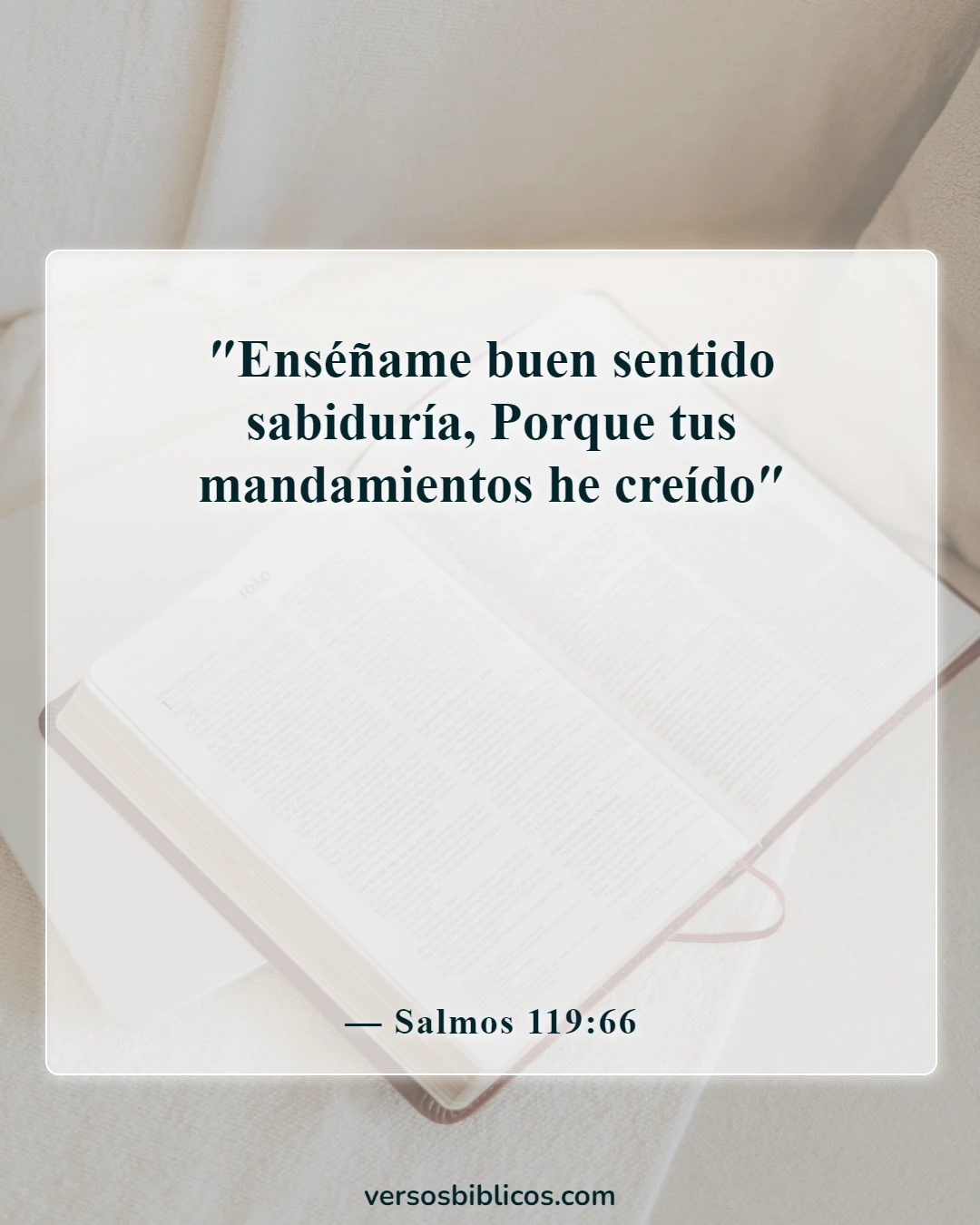 Versículos de la Biblia sobre el conocimiento humano (Salmos 119:66)