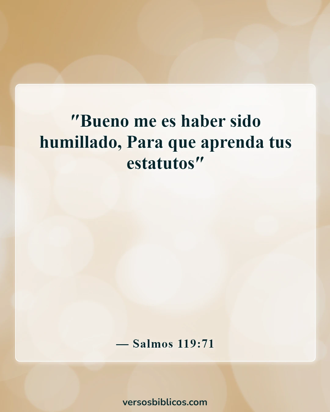 Versículos de la Biblia sobre el castigo (Salmos 119:71)
