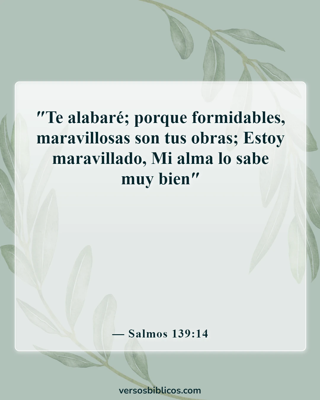 Versículos de la Biblia sobre el embarazo inesperado (Salmos 139:14)