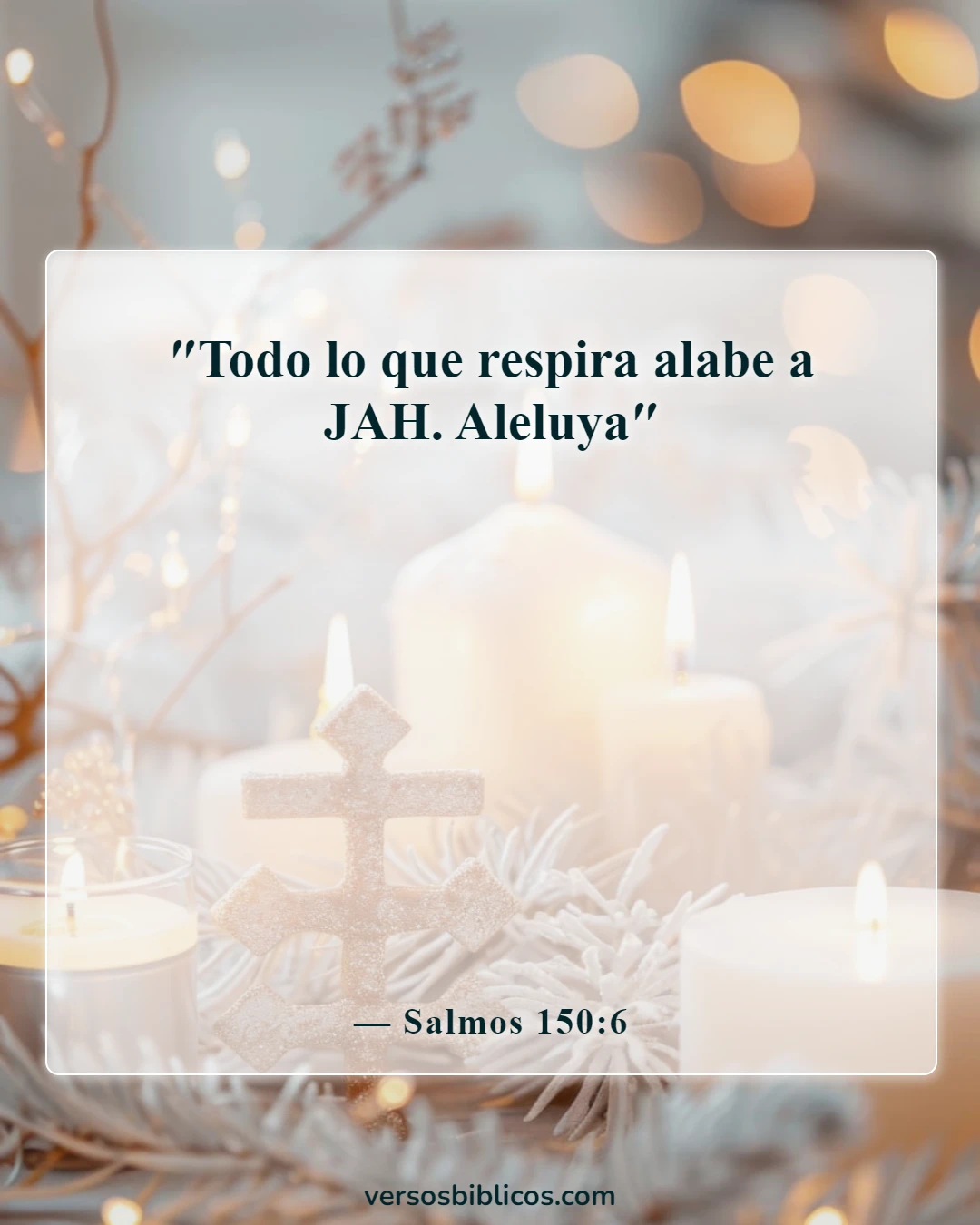 Versículos de la Biblia sobre el bendito domingo agradecido (Salmos 150:6)