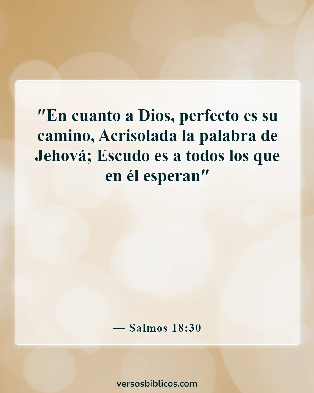 Versículos de la Biblia sobre Dios puede hacer cualquier cosa (Salmos 18:30)