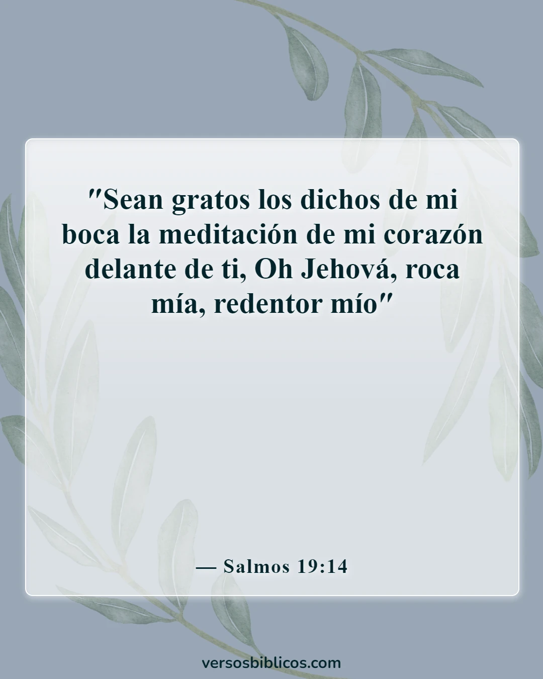 Versículos de la Biblia sobre decir malas palabras y lenguajes (Salmos 19:14)