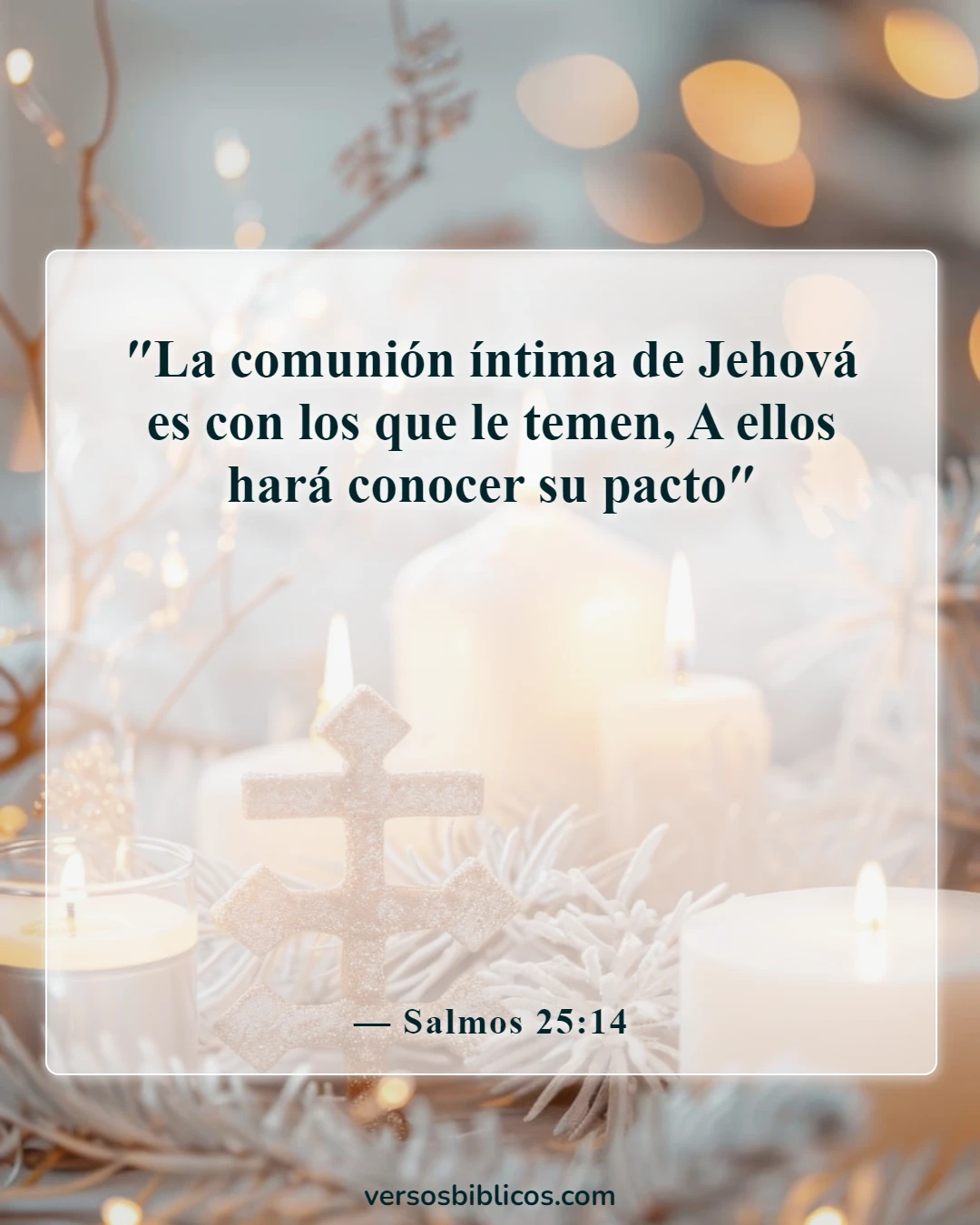 Versículos de la Biblia sobre una mujer que teme al Señor (Salmos 25:14)