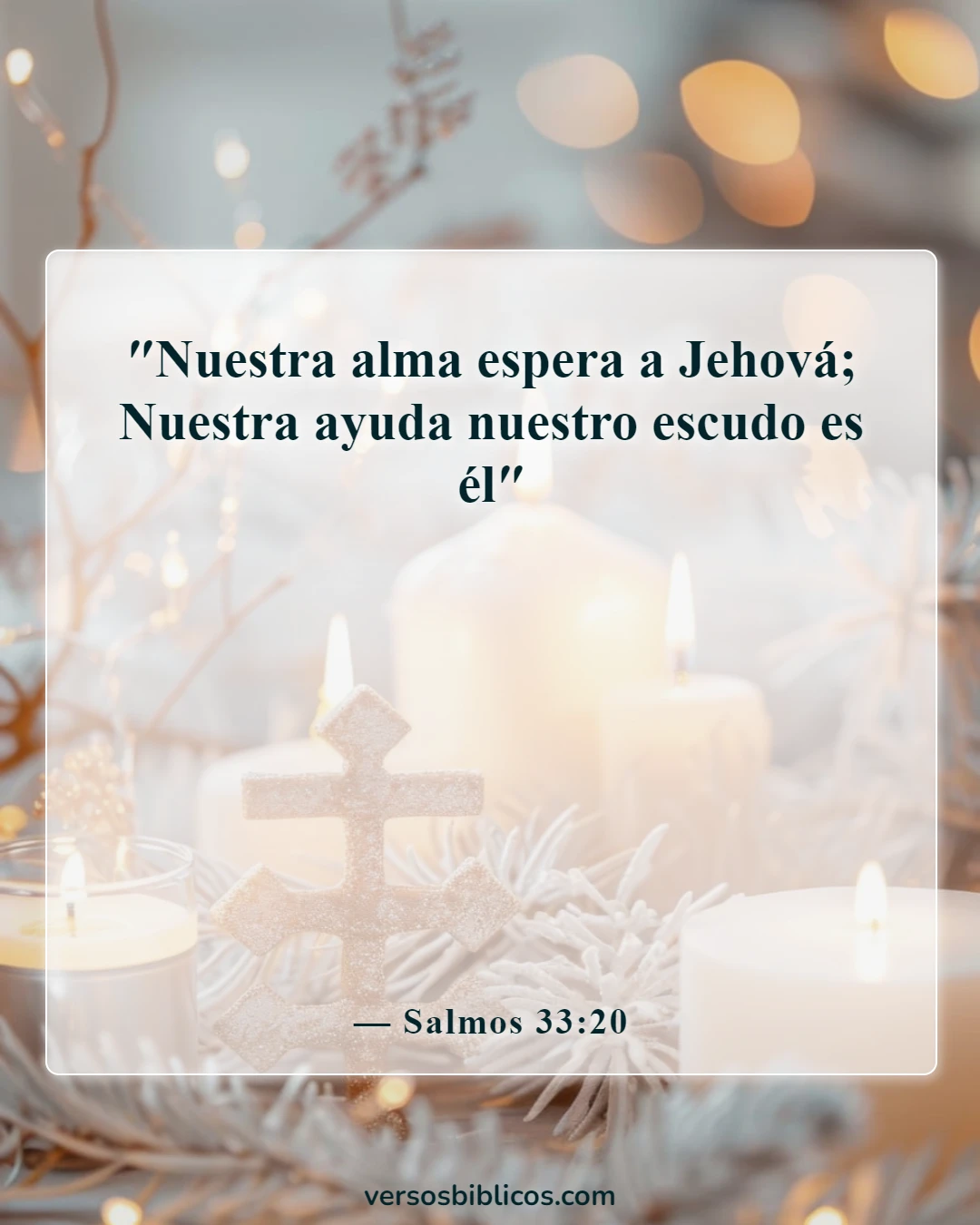 Versículos de la Biblia sobre esperar pacientemente (Salmos 33:20)