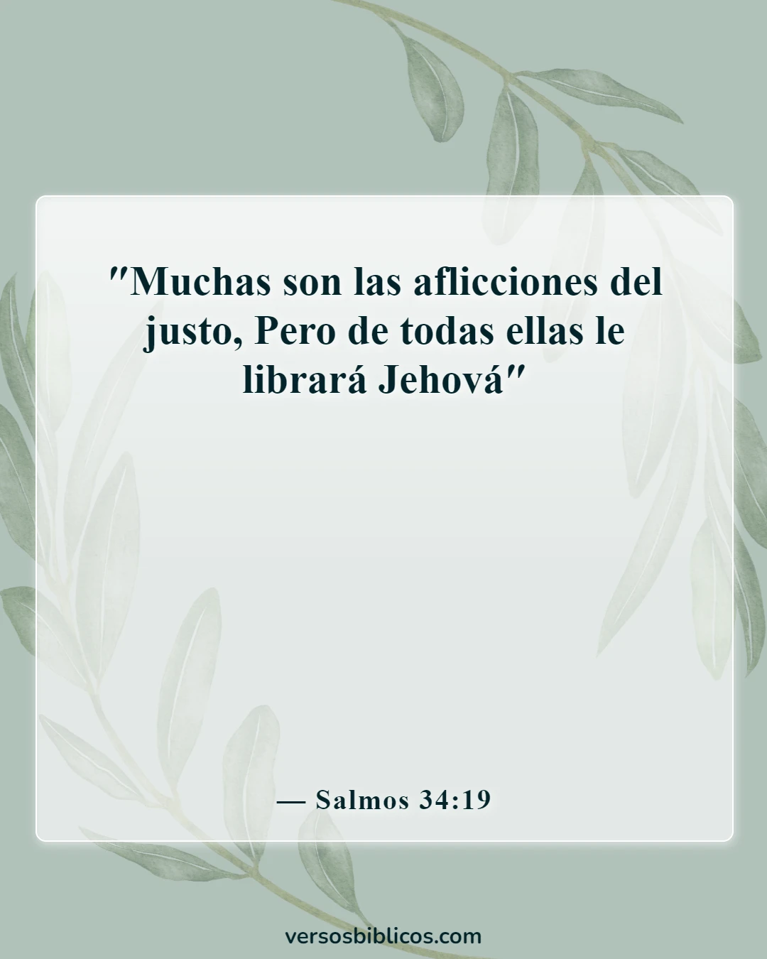 Versículos de la Biblia sobre víctimas de accidentes automovilísticos (Salmos 34:19)
