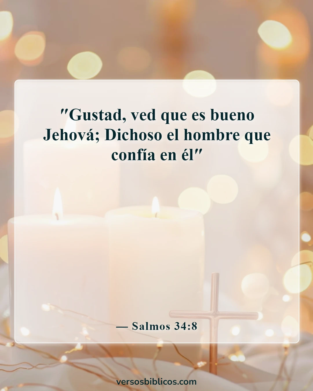 Versículos de la Biblia sobre reconocer a Dios en todos tus caminos (Salmos 34:8)
