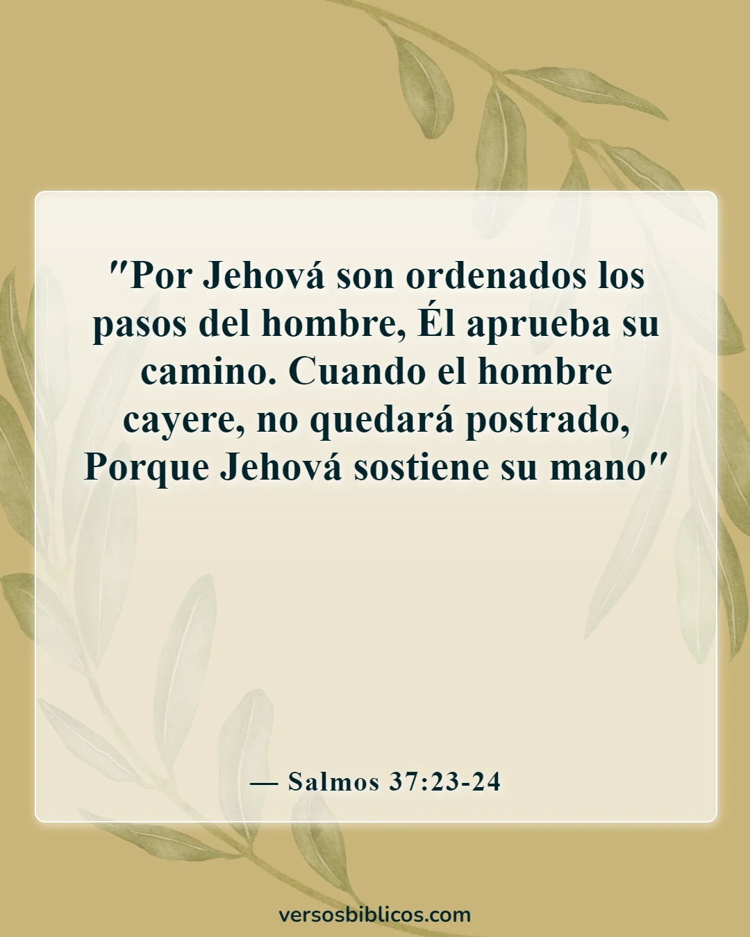Versículos de la Biblia sobre víctimas de accidentes automovilísticos (Salmos 37:23-24)