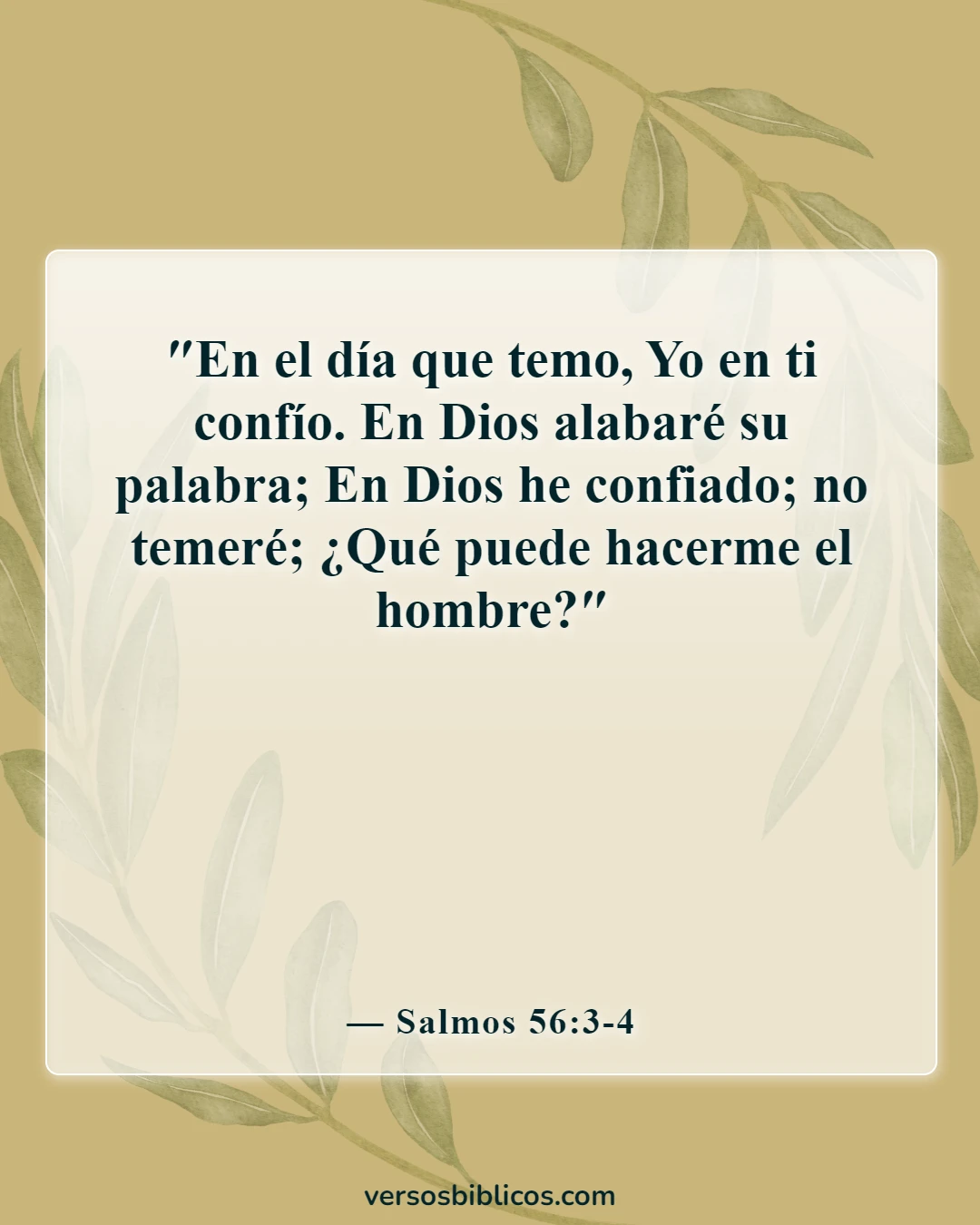 Versículos de la Biblia sobre cómo afrontar los problemas (Salmos 56:3-4)