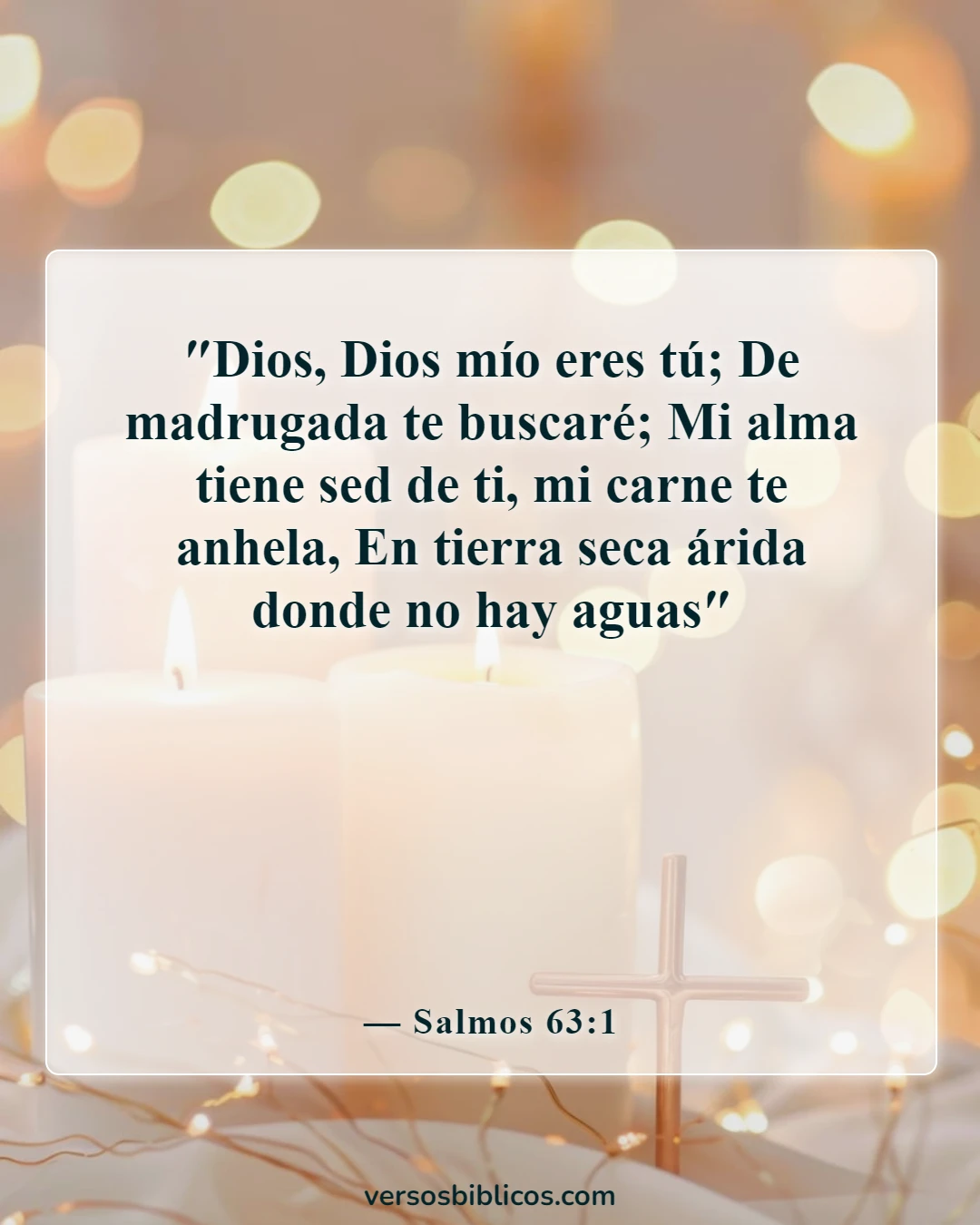 Versículos de la Biblia sobre buscar a Dios temprano en la mañana (Salmos 63:1)