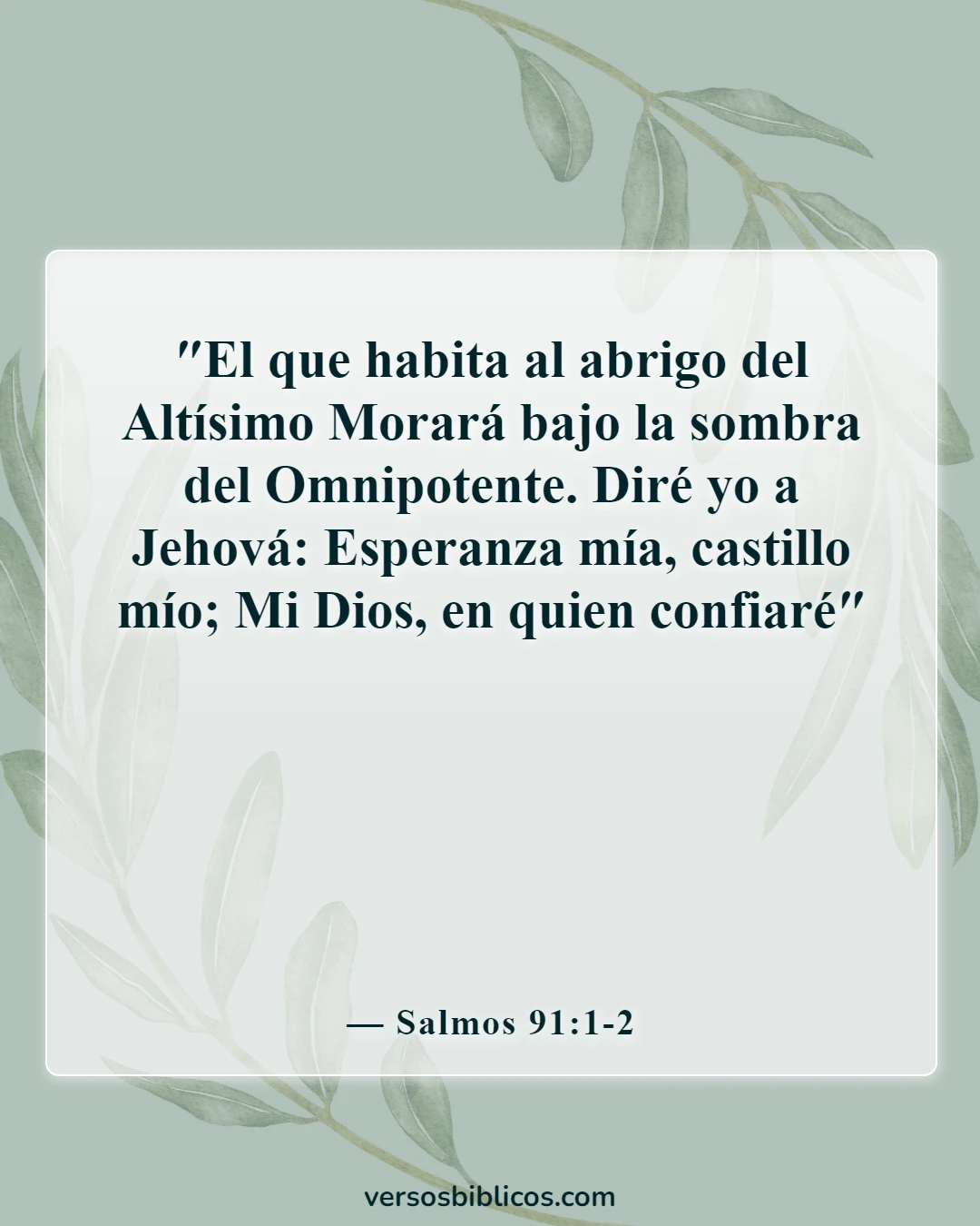 Versículos de la Biblia sobre víctimas de accidentes automovilísticos (Salmos 91:1-2)