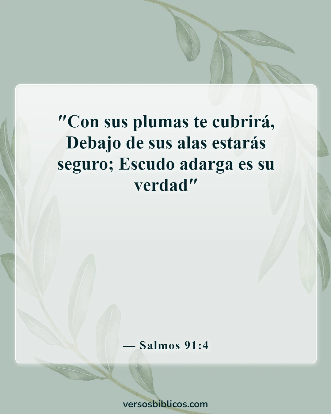 Versículos de la Biblia sobre ponerse toda la armadura de Dios (Salmos 91:4)