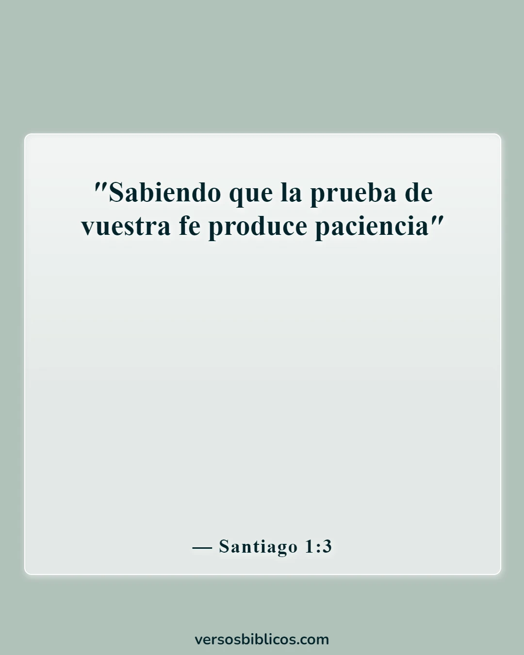 Versículos de la Biblia sobre una mujer fuerte de Dios (Santiago 1:3)