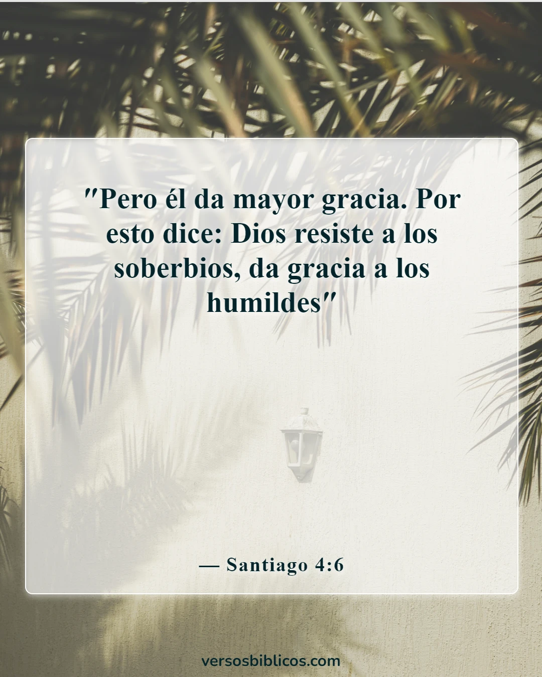 Versículos de la Biblia sobre no ser arrogante (Santiago 4:6)