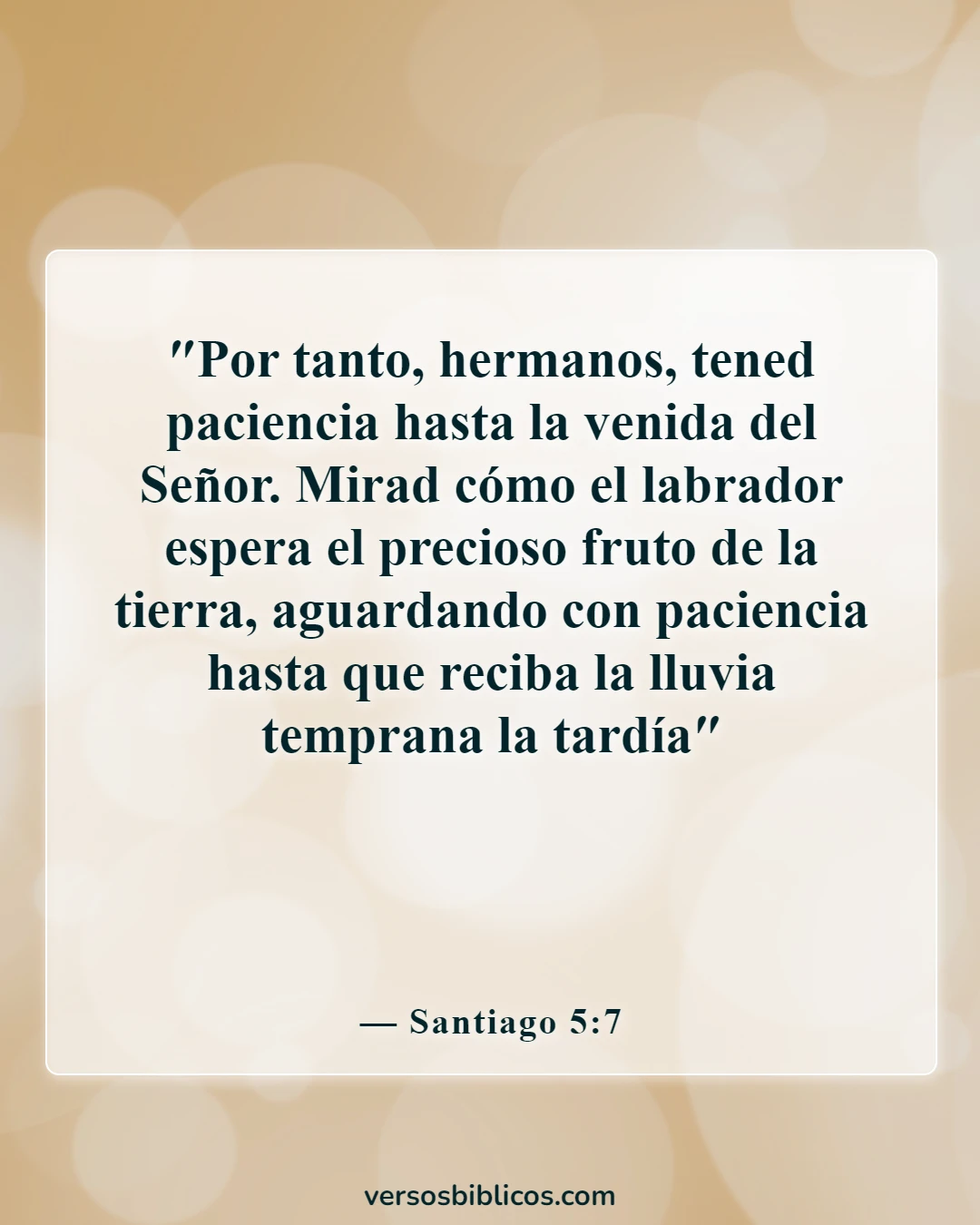 Versículos de la Biblia sobre la paciencia en las relaciones (Santiago 5:7)