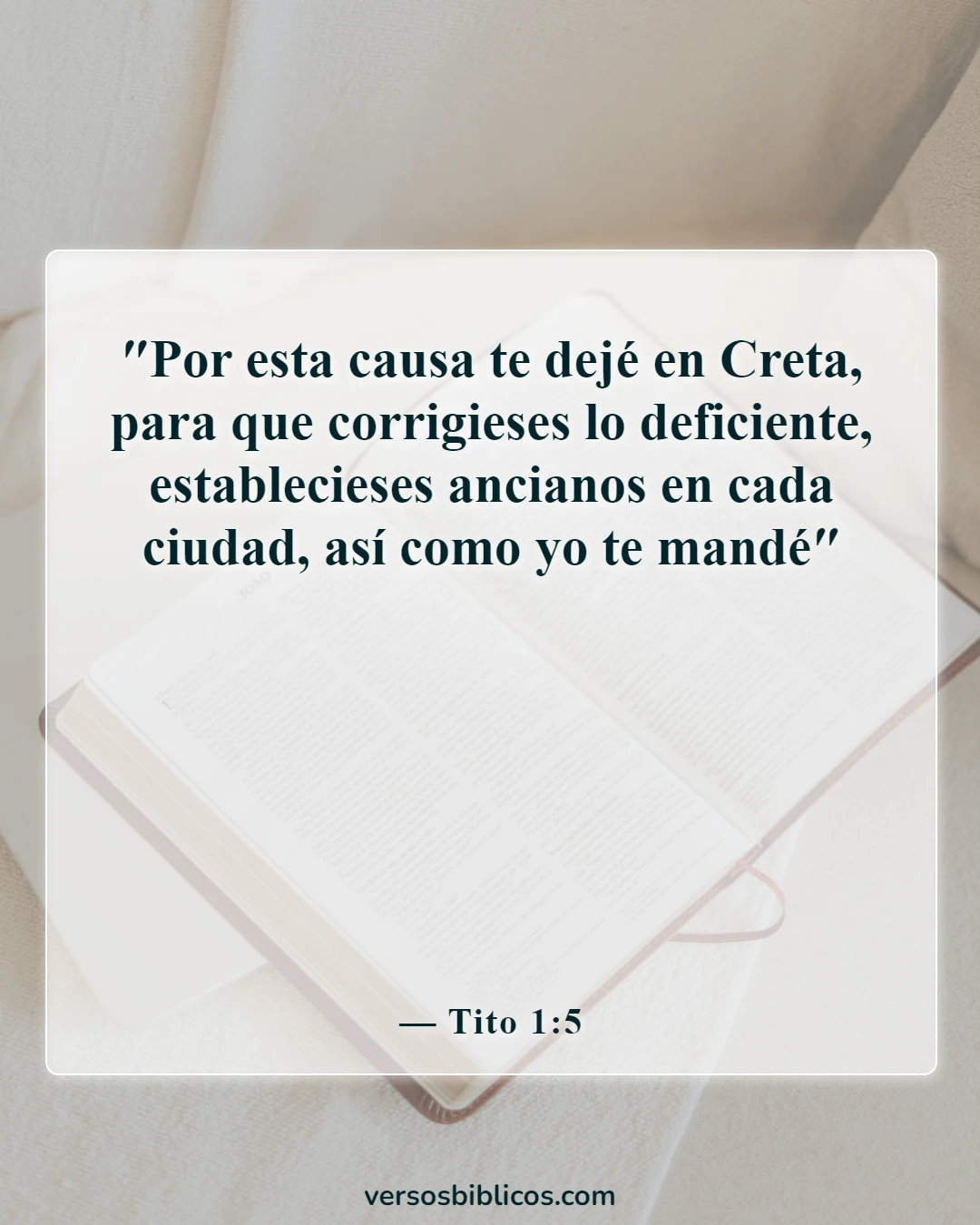 Versículos de la Biblia sobre el trabajo en equipo (Tito 1:5)
