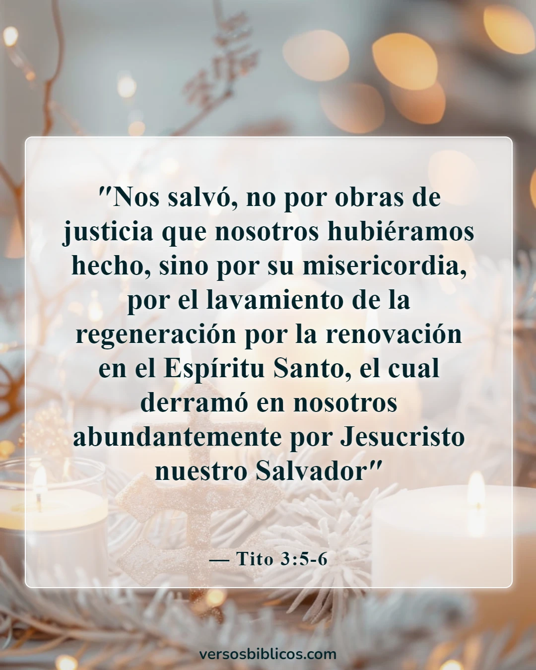 Versículos de la Biblia sobre la Trinidad (Tito 3:5-6)